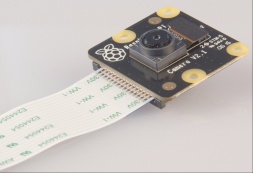 Image of 8M Pixel 'Pi NoIR' Camera board for the Raspberry Pi (NO IR Filter)