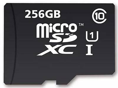 Image of 256GB microSD Secure Digital High Capacity (uSDHC) Card Class 10