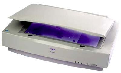 Image of Epson GT10000+ A3 Scanner SCSI with Transparency Adaptor (Refurbished)